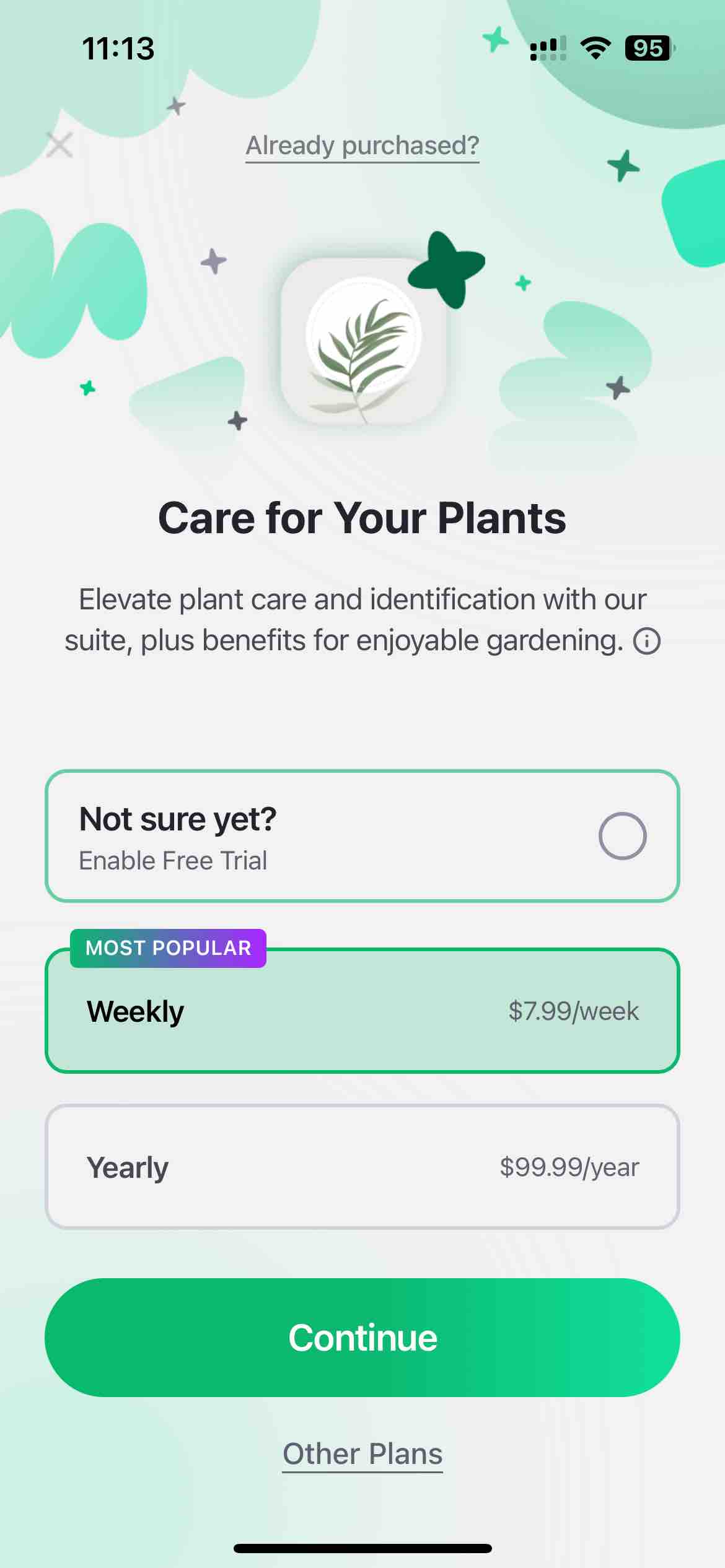 Blossom - Plant Care Guide