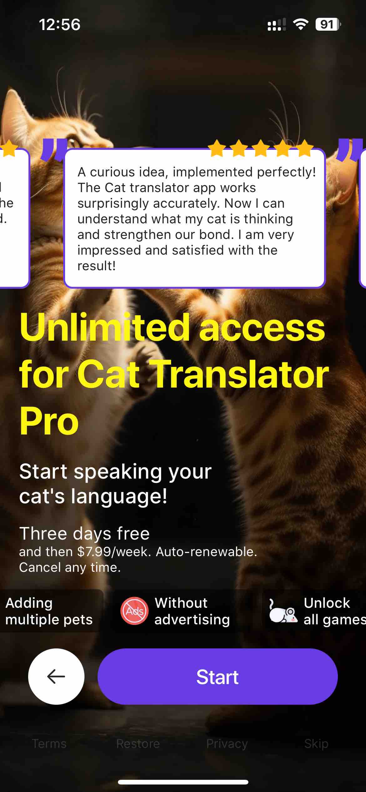 Cat Translator – Human to Pet