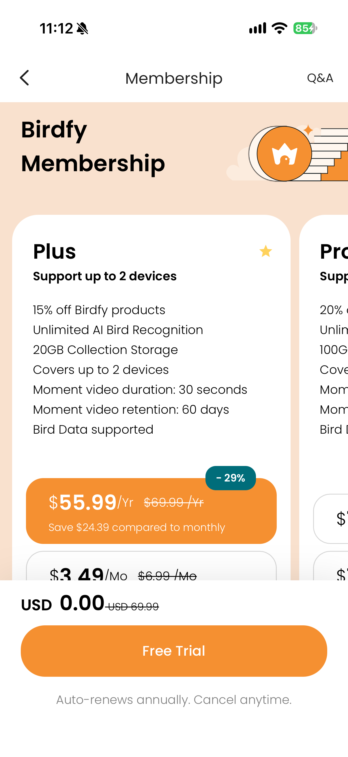 Birdfy