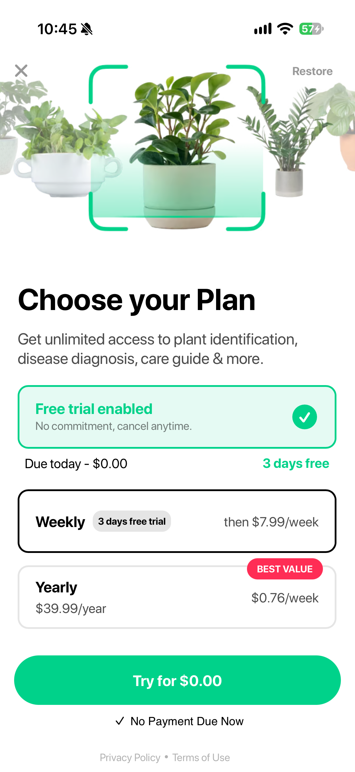 Plant AI - Identify & Care