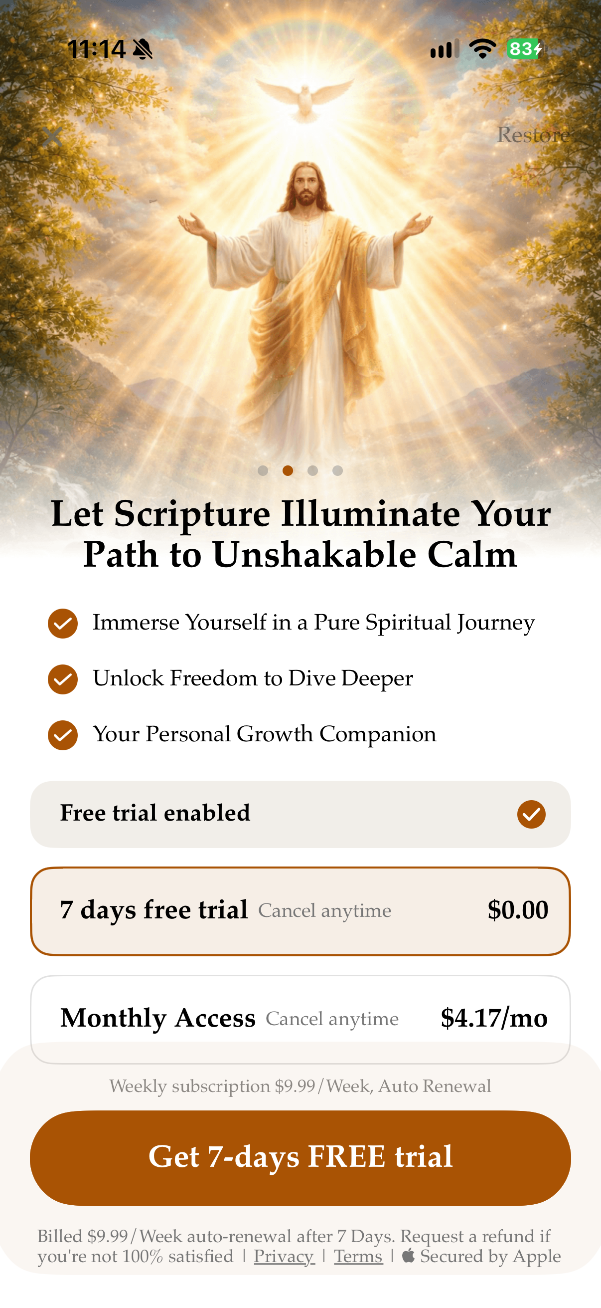 Bible Voice: Audio&Abide